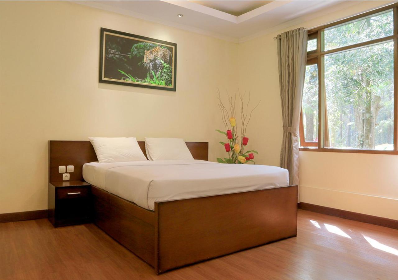 פונקאק Safari Resort מראה חיצוני תמונה