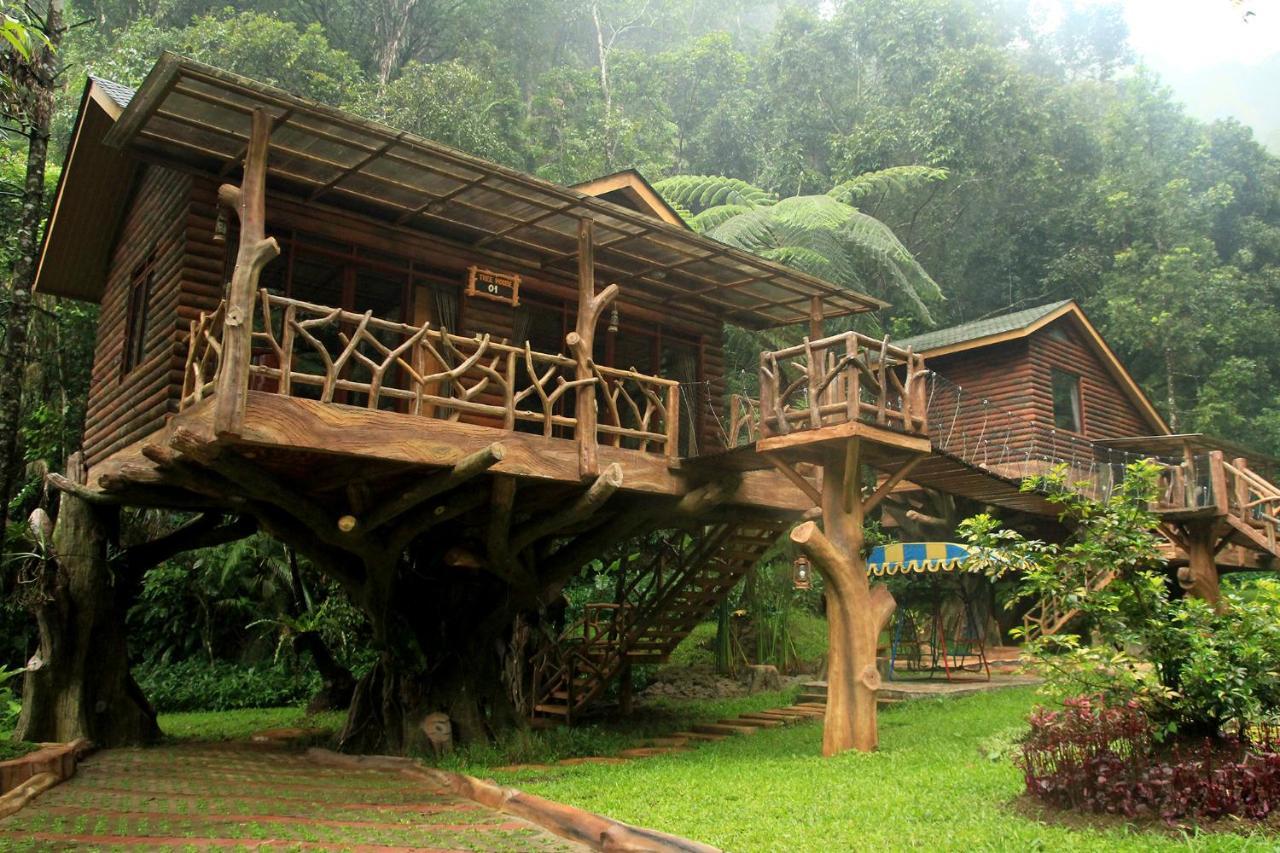 פונקאק Safari Resort מראה חיצוני תמונה